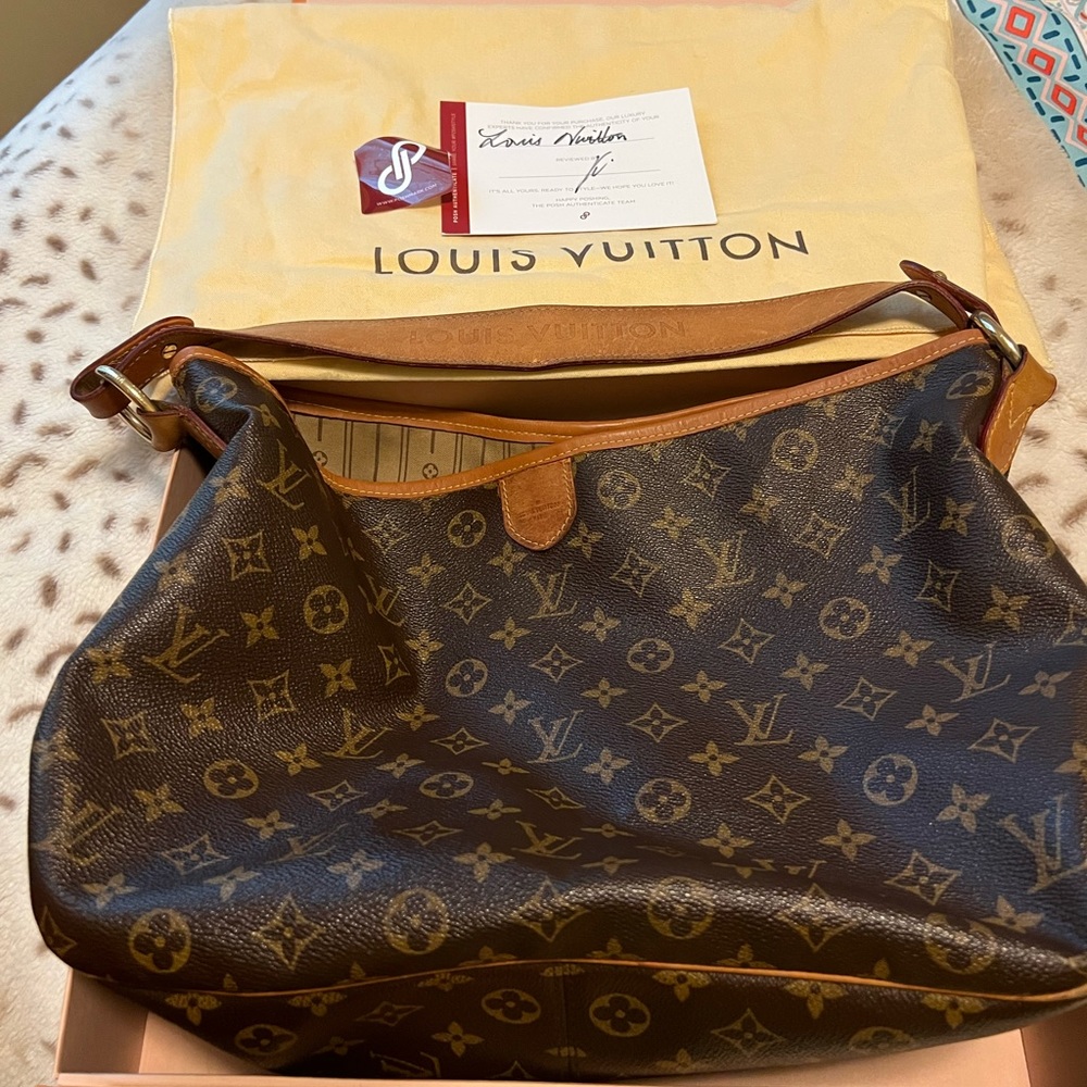 Louis Vuitton delightful bag